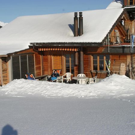 Bergdohle Apartment Adelboden Bagian luar foto