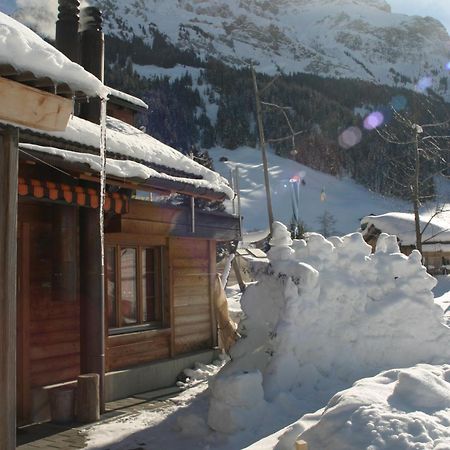 Bergdohle Apartment Adelboden Bagian luar foto