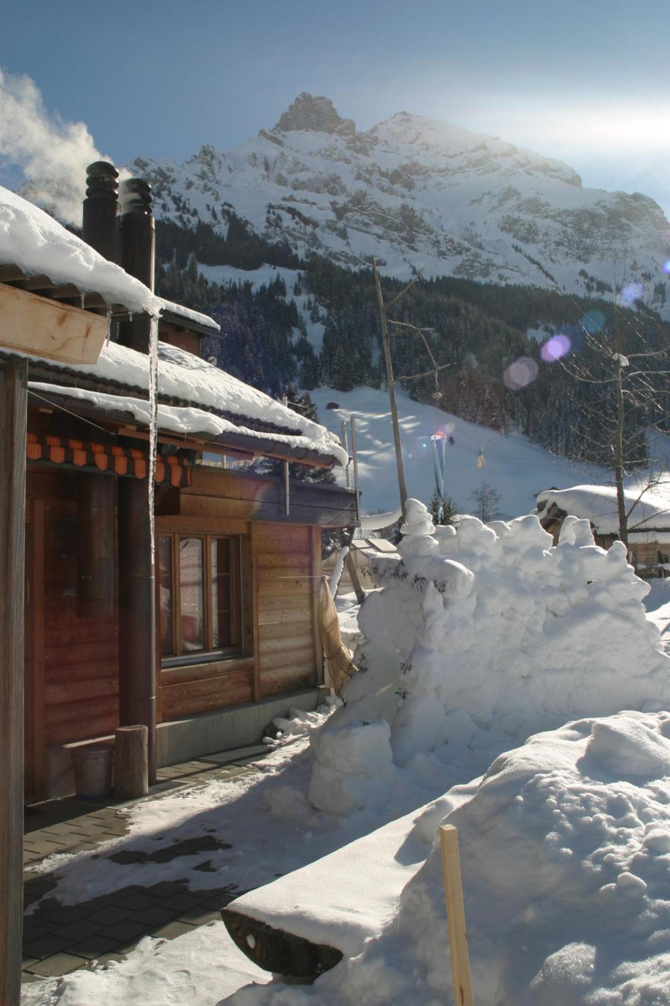 Bergdohle Apartment Adelboden Bagian luar foto