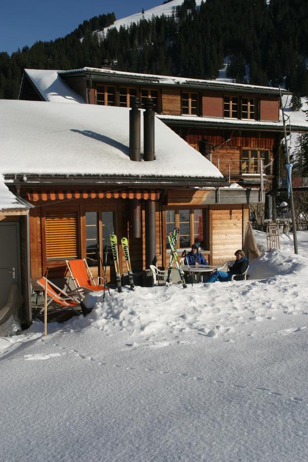 Bergdohle Apartment Adelboden Bagian luar foto