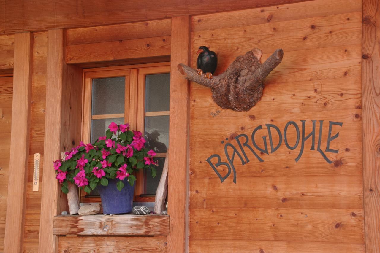 Bergdohle Apartment Adelboden Bagian luar foto