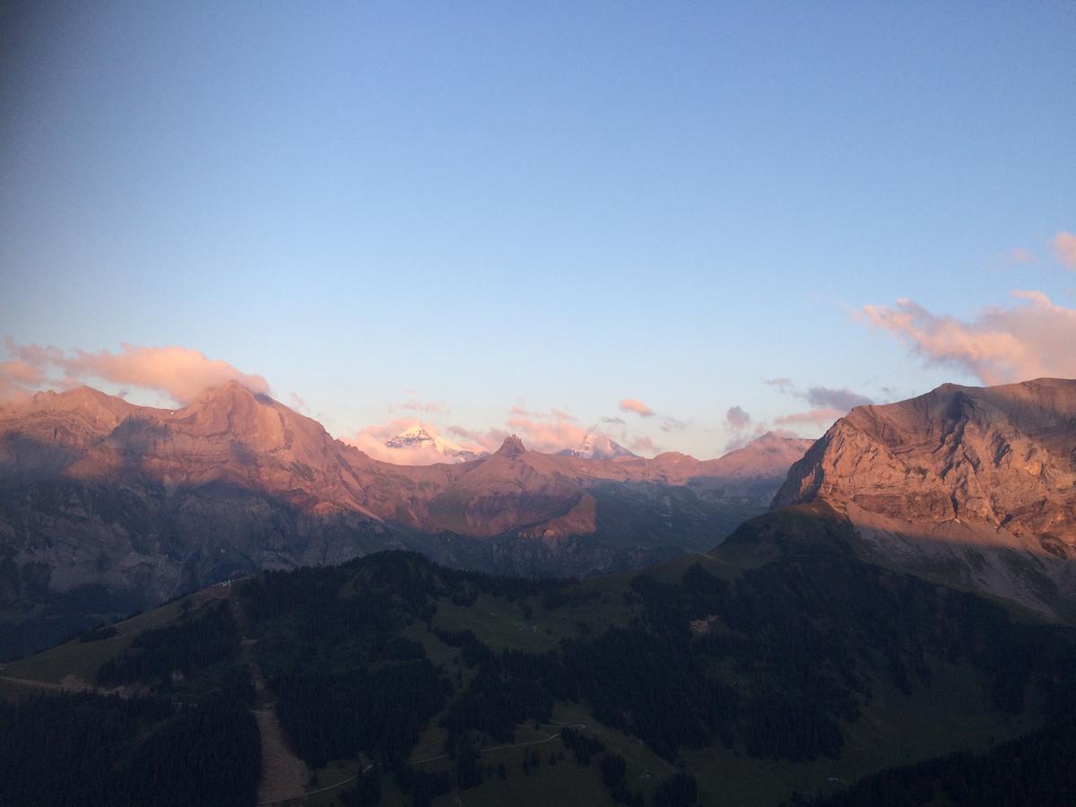 Bergdohle Apartment Adelboden Bagian luar foto