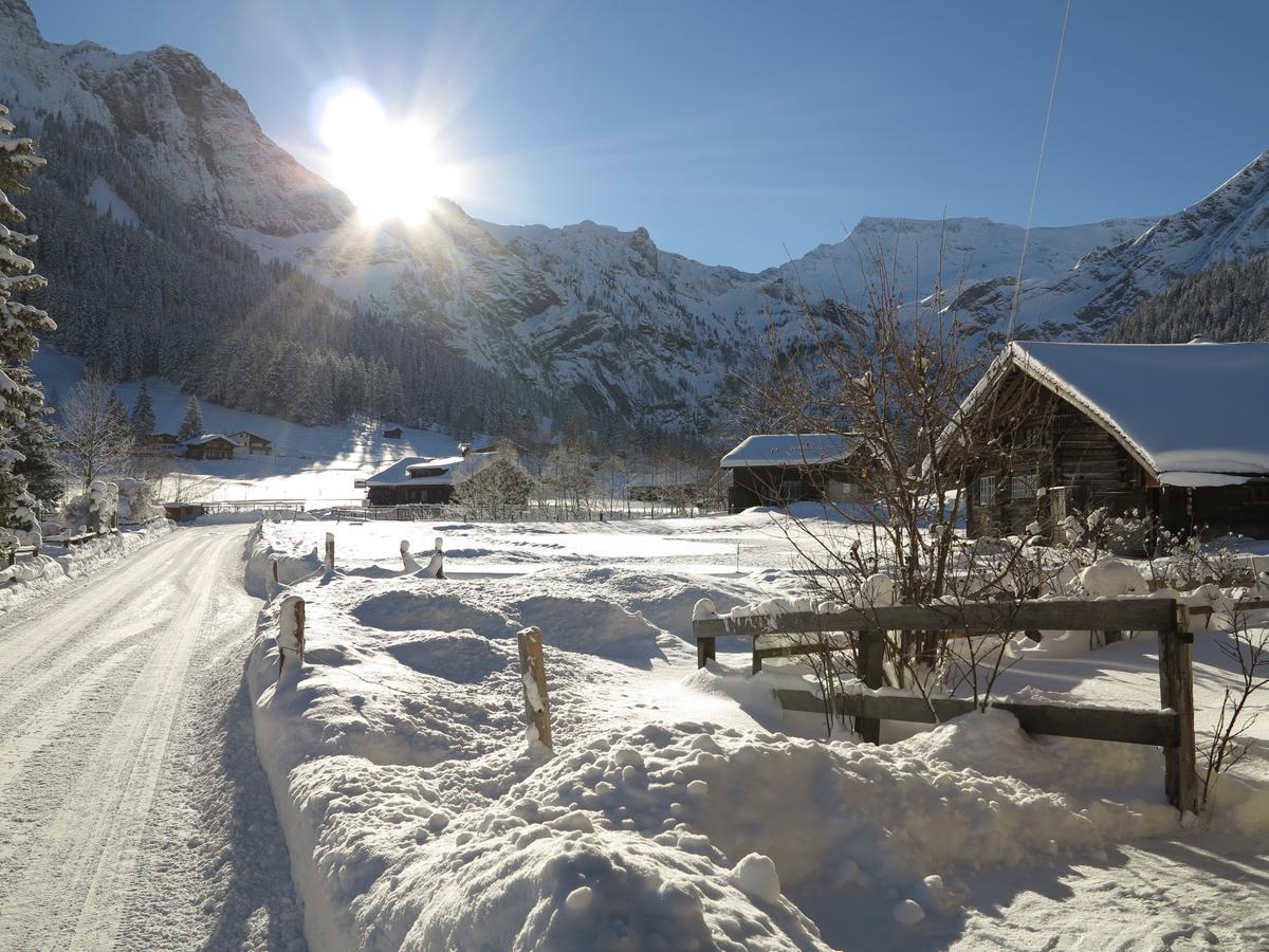 Bergdohle Apartment Adelboden Bagian luar foto