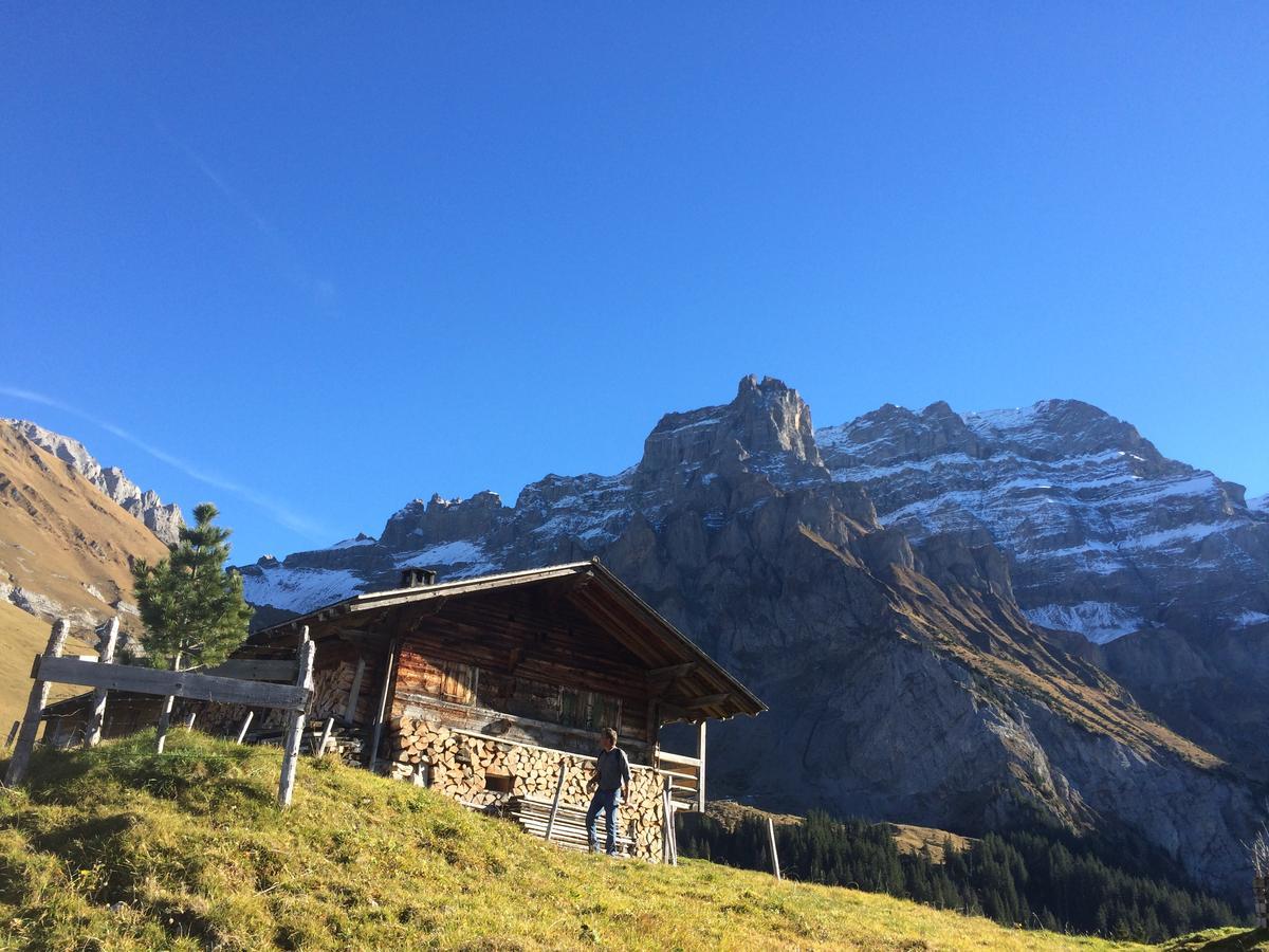 Bergdohle Apartment Adelboden Bagian luar foto