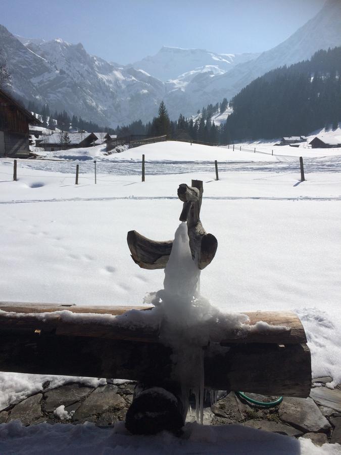 Bergdohle Apartment Adelboden Bagian luar foto