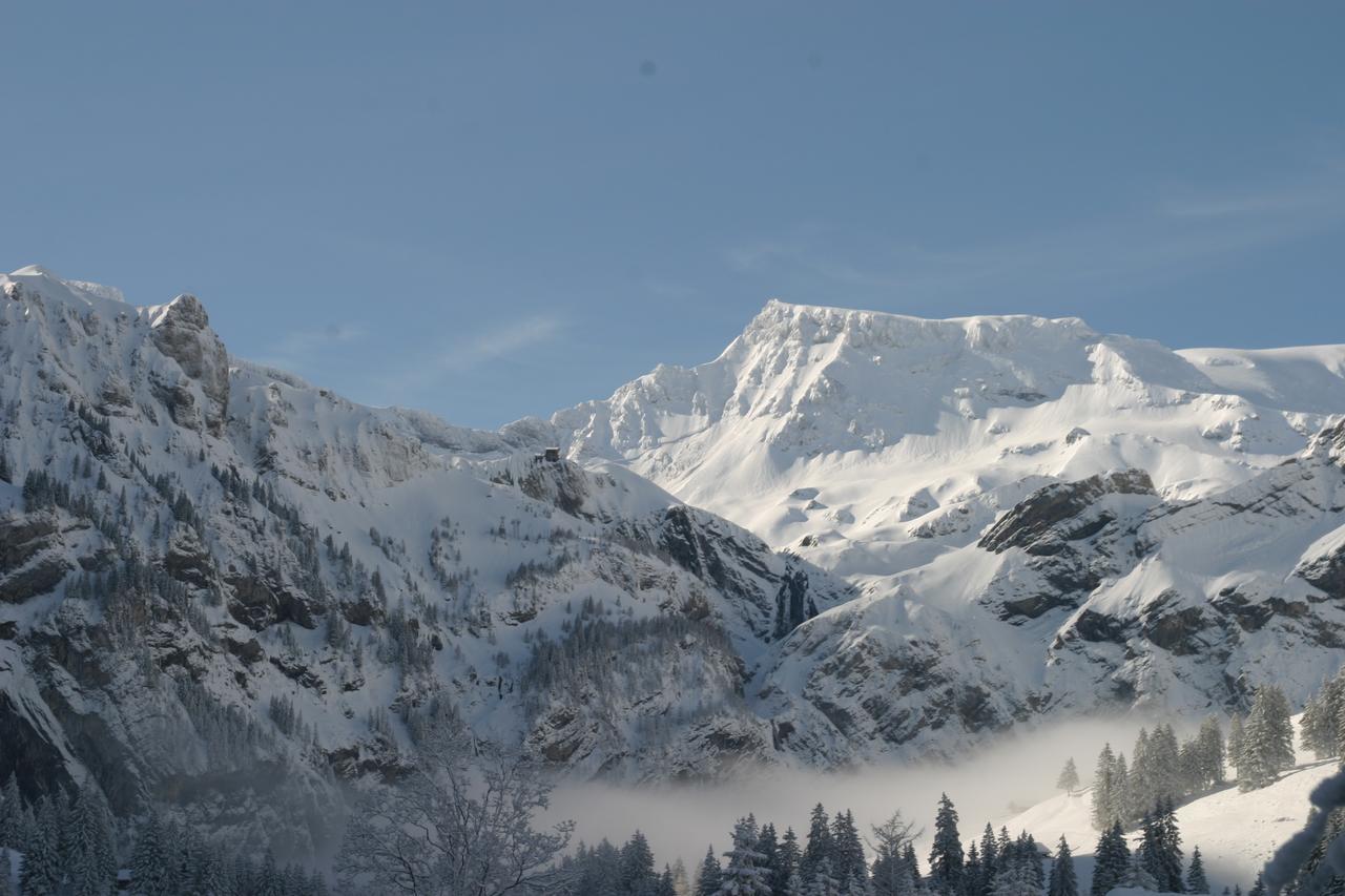Bergdohle Apartment Adelboden Bagian luar foto