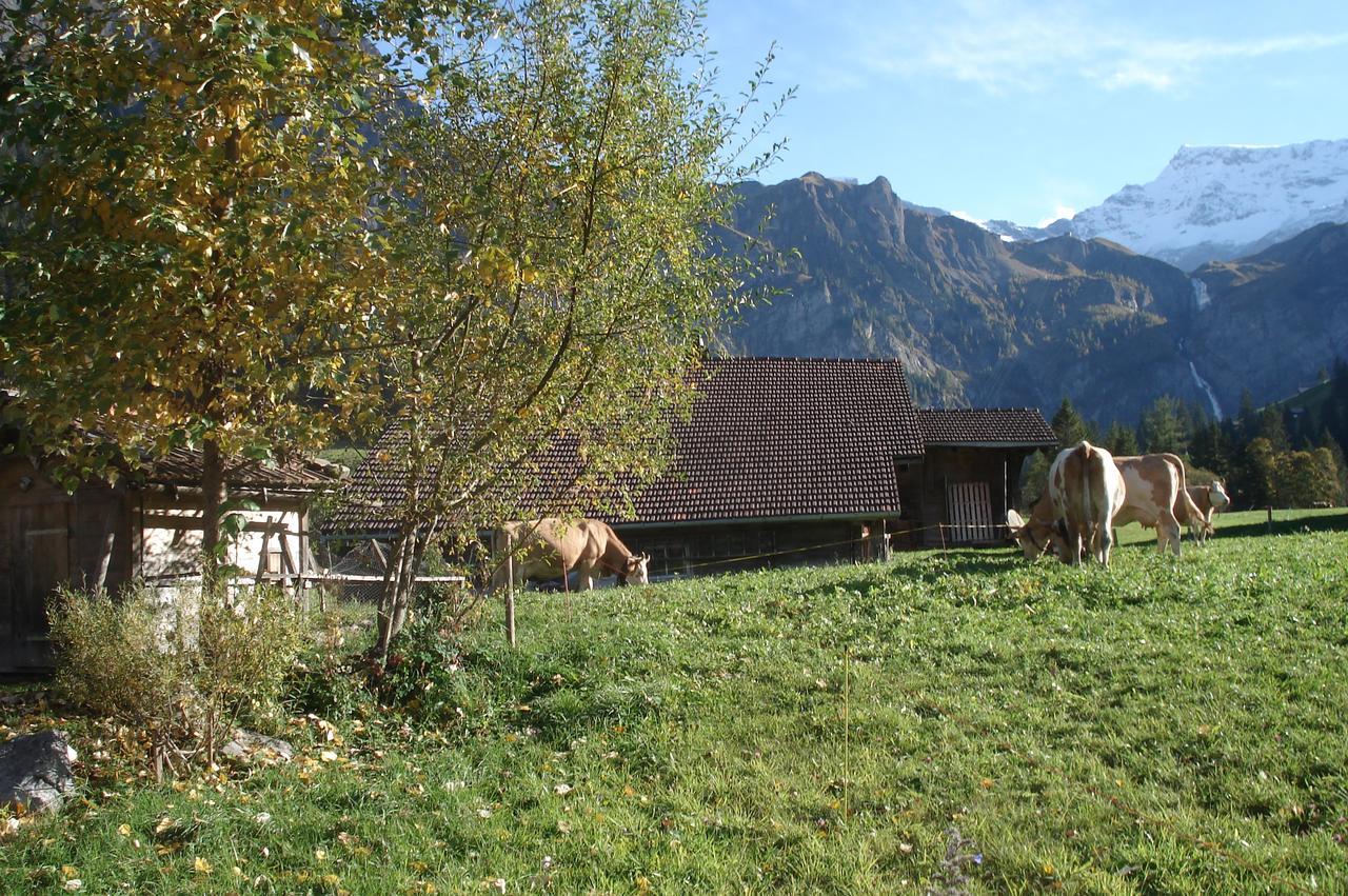 Bergdohle Apartment Adelboden Bagian luar foto