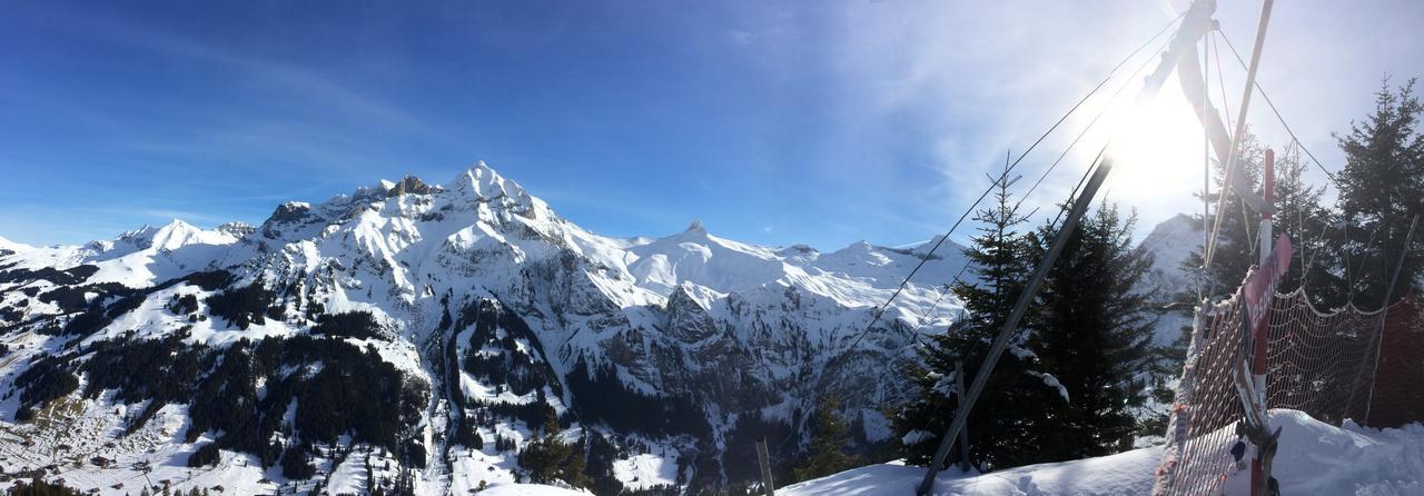 Bergdohle Apartment Adelboden Bagian luar foto