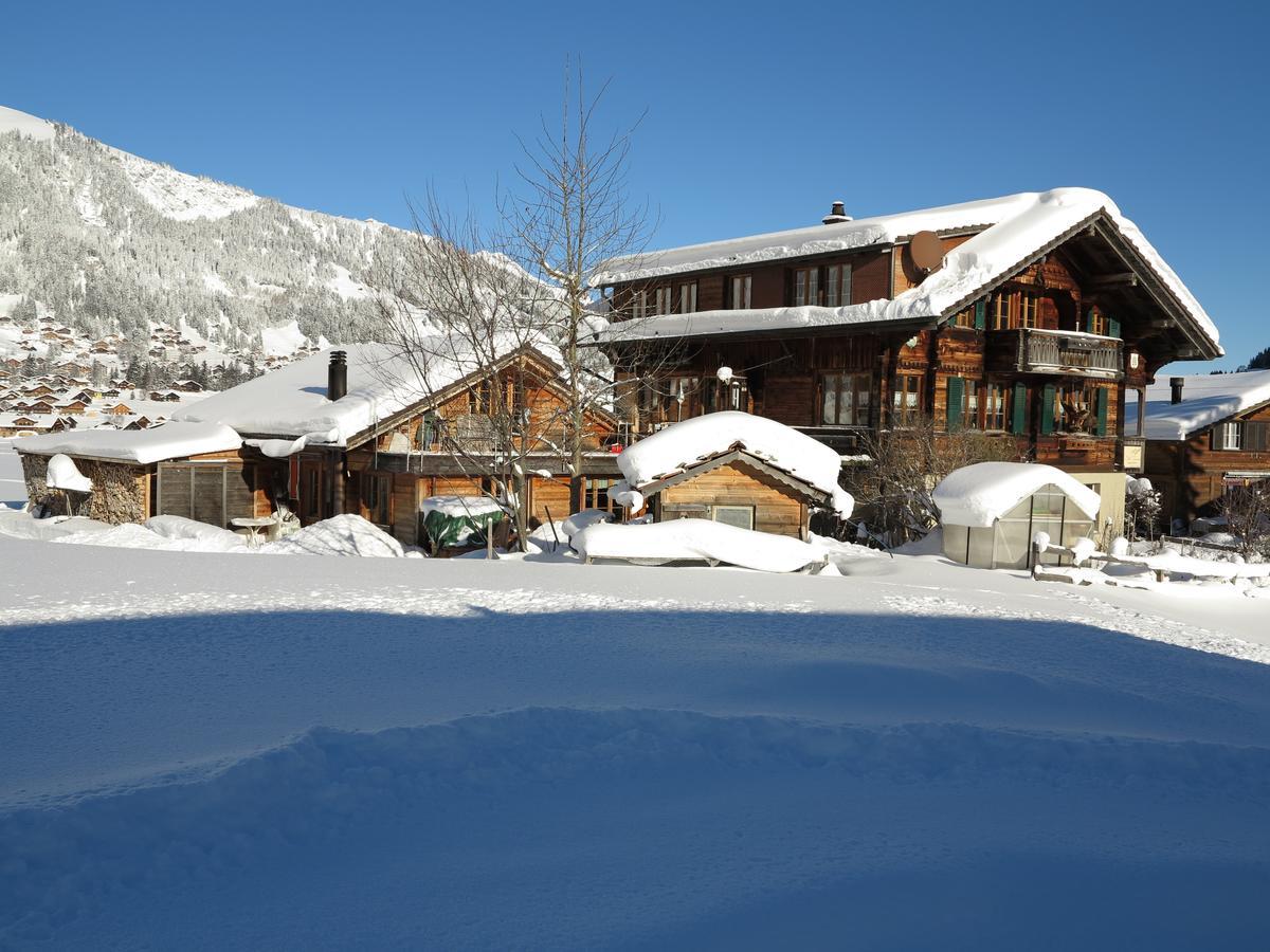 Bergdohle Apartment Adelboden Bagian luar foto