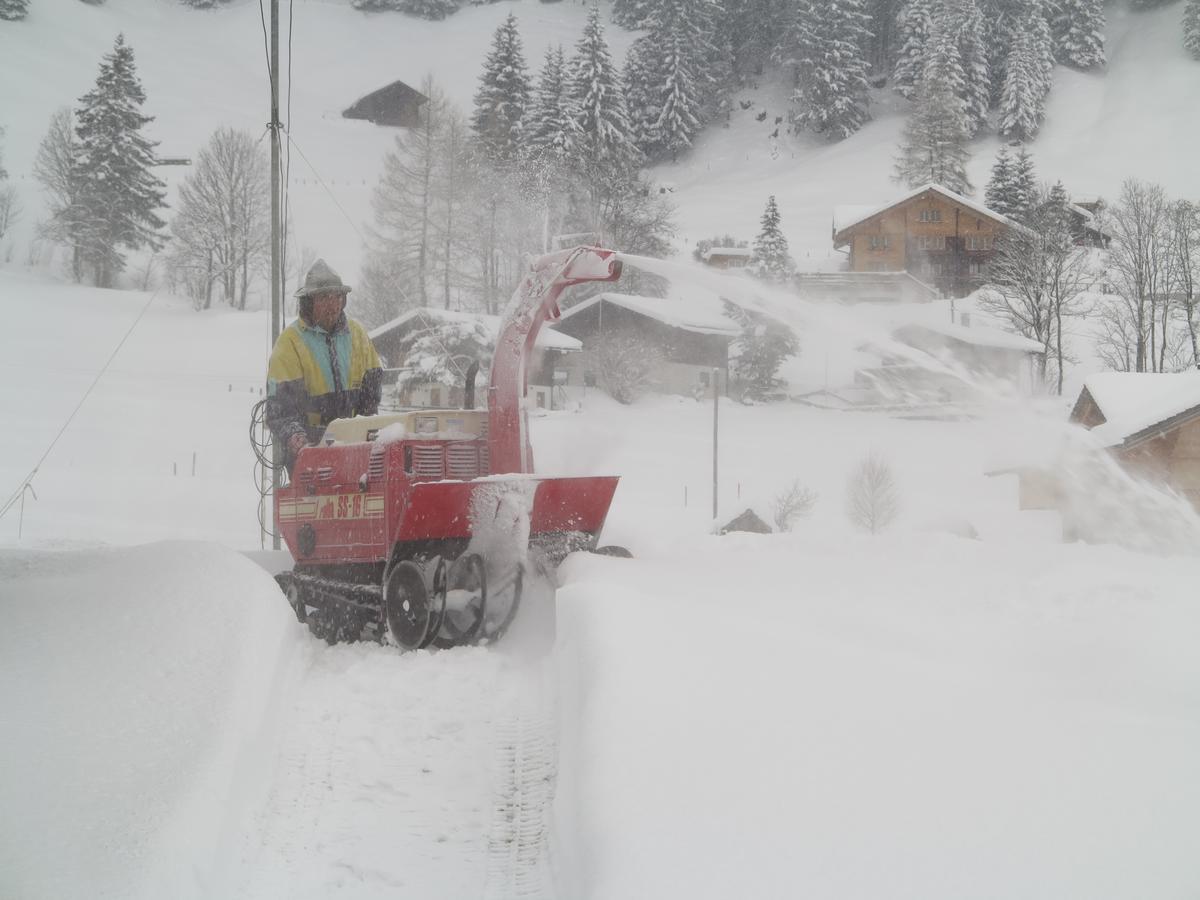 Bergdohle Apartment Adelboden Bagian luar foto
