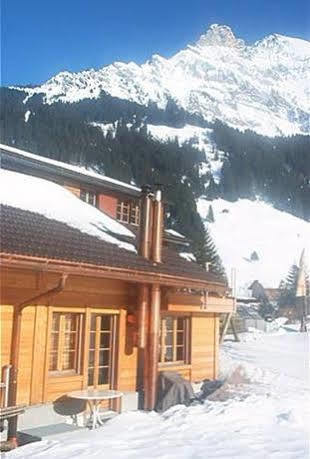 Bergdohle Apartment Adelboden Bagian luar foto